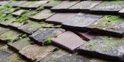 Turnfurlong roof repair costs
